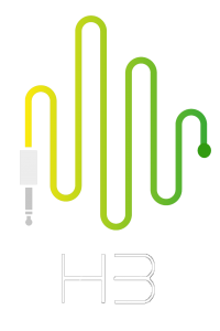 HB Logo groen geel (1)
